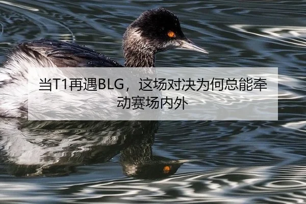 dang-zai-yu-zhe-chang-dui-jue-wei-he-zong-neng-qian-dong-sai-chang-nei-wai-2-790.jpg